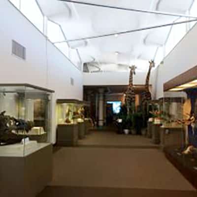 LV Natural History Museum remodel-AFTER